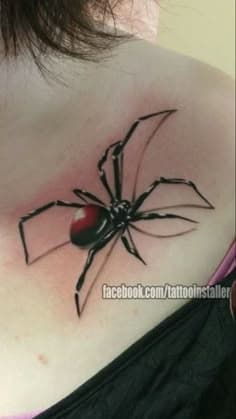 spider