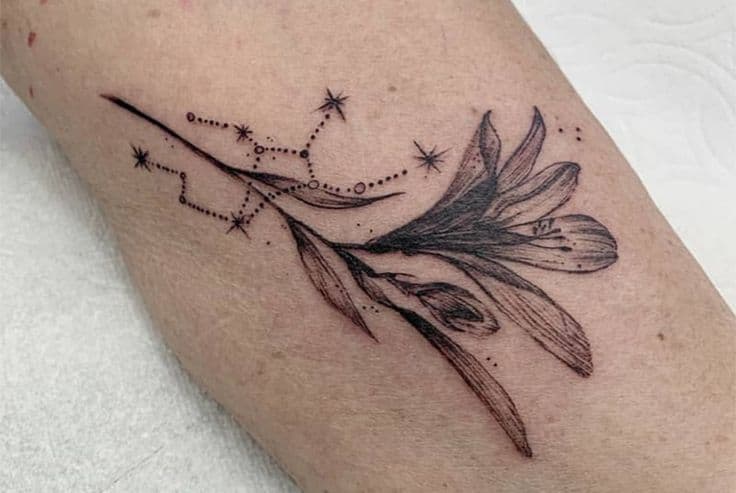 virgo