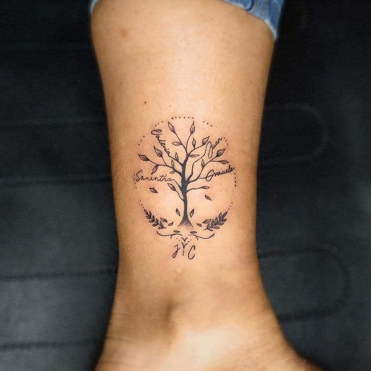 palm-tree